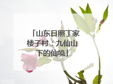山东日照丁家楼子村：九仙山下的仙境