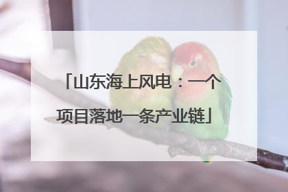 山东海上风电：一个项目落地一条产业链