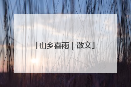 山乡喜雨｜散文
