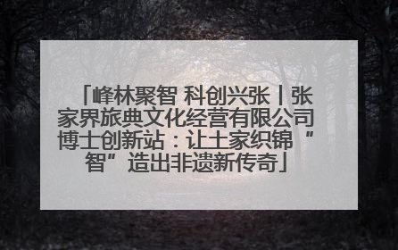 峰林聚智 科创兴张丨张家界旅典文化经营有限公司博士创新站：让土家织锦“智”造出非遗新传奇