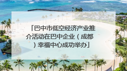 巴中市低空经济产业推介活动在巴中企业（成都）幸福中心成功举办