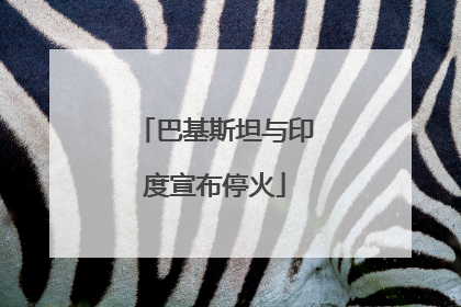 巴基斯坦与印度宣布停火