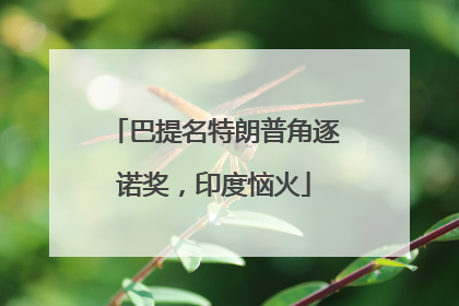 巴提名特朗普角逐诺奖，印度恼火