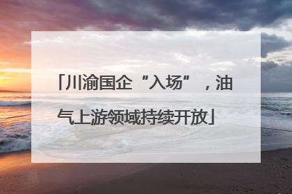 川渝国企“入场”，油气上游领域持续开放