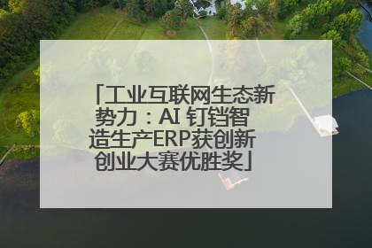 工业互联网生态新势力：AI 钉铛智造生产ERP获创新创业大赛优胜奖