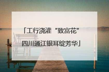 工行浇灌“致富花” 四川通江银耳绽芳华