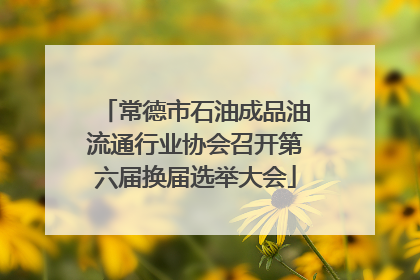 常德市石油成品油流通行业协会召开第六届换届选举大会