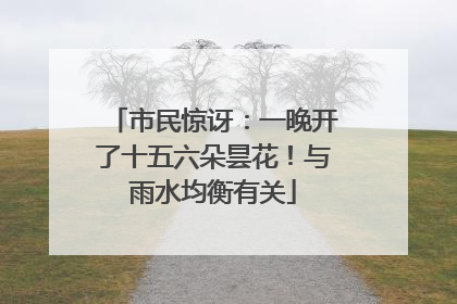市民惊讶：一晚开了十五六朵昙花！与雨水均衡有关