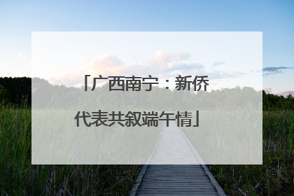 广西南宁：新侨代表共叙端午情