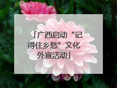 广西启动“记得住乡愁”文化外宣活动