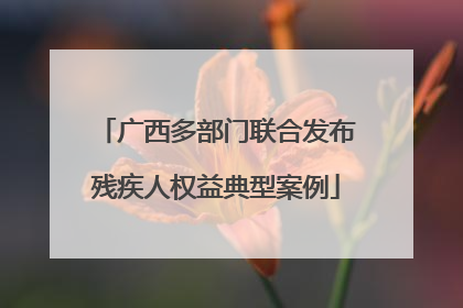 广西多部门联合发布残疾人权益典型案例