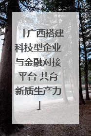 广西搭建科技型企业与金融对接平台 共育新质生产力