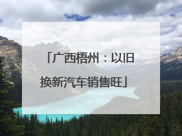 广西梧州：以旧换新汽车销售旺