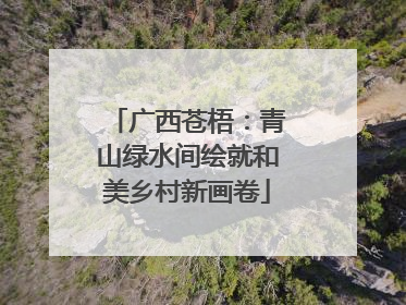 广西苍梧：青山绿水间绘就和美乡村新画卷