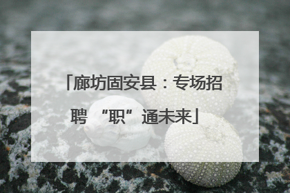 廊坊固安县：专场招聘 “职”通未来