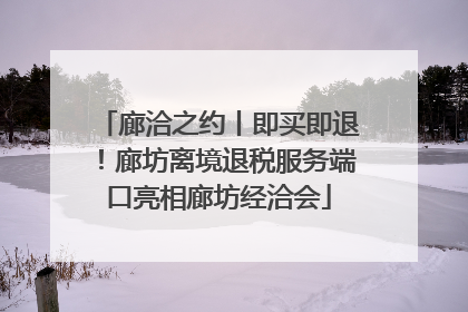 廊洽之约丨即买即退！廊坊离境退税服务端口亮相廊坊经洽会