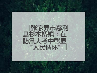 张家界市慈利县杉木桥镇：在防汛大考中彰显“人民情怀”