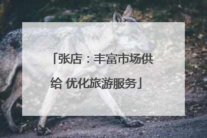 张店：丰富市场供给 优化旅游服务