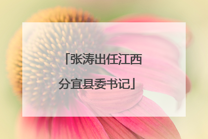 张涛出任江西分宜县委书记