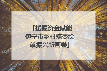 援疆资金赋能 伊宁市乡村蝶变绘就振兴新画卷