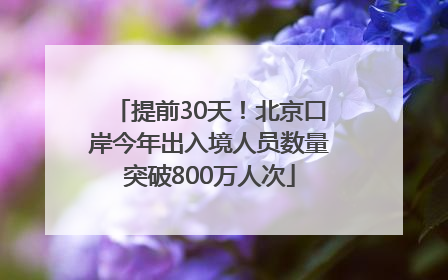 提前30天！北京口岸今年出入境人员数量突破800万人次