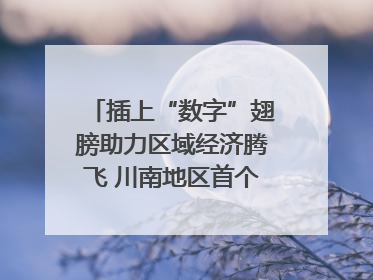 插上“数字”翅膀助力区域经济腾飞 川南地区首个智算中心启动