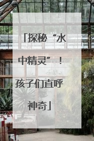 探秘“水中精灵”！孩子们直呼神奇
