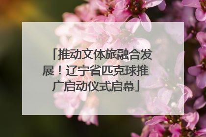 推动文体旅融合发展！辽宁省匹克球推广启动仪式启幕