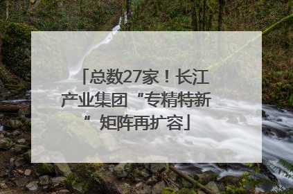 总数27家！长江产业集团“专精特新”矩阵再扩容
