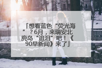 想看蓝色“荧光海”？6月，来瑞安北麂岛“追泪”吧！《90早新闻》来了