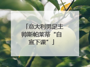 意大利男足主帅斯帕莱蒂“自宣下课”