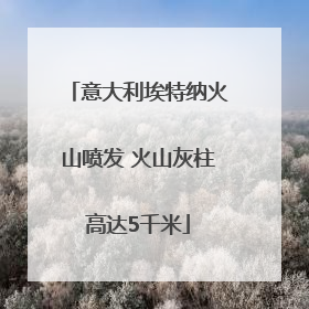 意大利埃特纳火山喷发 火山灰柱高达5千米