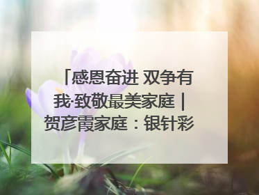 感恩奋进 双争有我·致敬最美家庭｜贺彦霞家庭：银针彩线绣出好日子