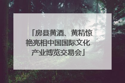 房县黄酒、黄精惊艳亮相中国国际文化产业博览交易会