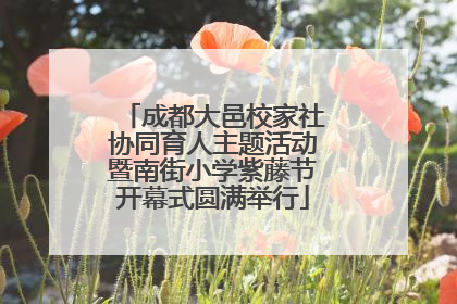 成都大邑校家社协同育人主题活动暨南街小学紫藤节开幕式圆满举行