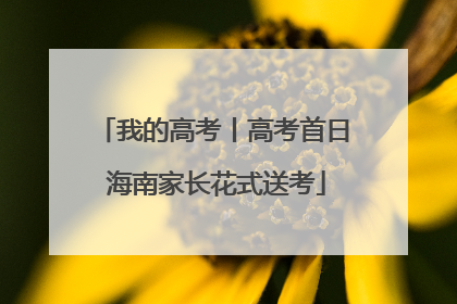 我的高考丨高考首日 海南家长花式送考