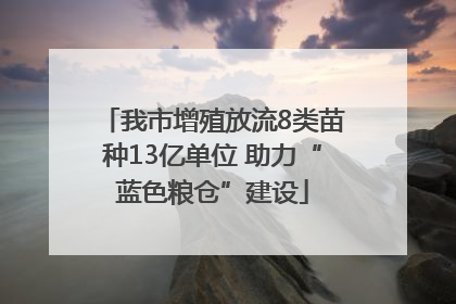 我市增殖放流8类苗种13亿单位 助力“蓝色粮仓”建设