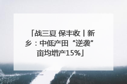 战三夏 保丰收丨新乡：中低产田“逆袭” 亩均增产15%