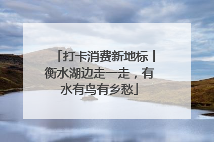 打卡消费新地标丨衡水湖边走一走，有水有鸟有乡愁