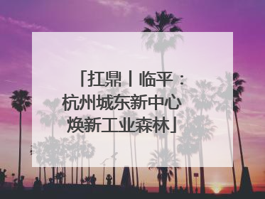 扛鼎丨临平：杭州城东新中心焕新工业森林