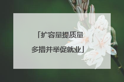 扩容量提质量 多措并举促就业