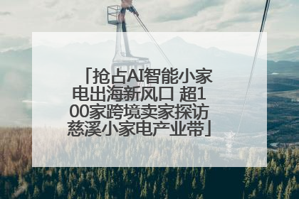 抢占AI智能小家电出海新风口 超100家跨境卖家探访慈溪小家电产业带