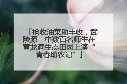 抢收油菜助丰收，武陵源一中数百名师生在黄龙洞生态田园上演“青春助农记”