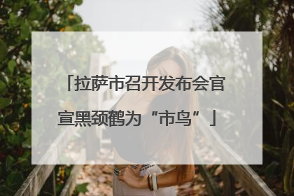 拉萨市召开发布会官宣黑颈鹤为“市鸟”