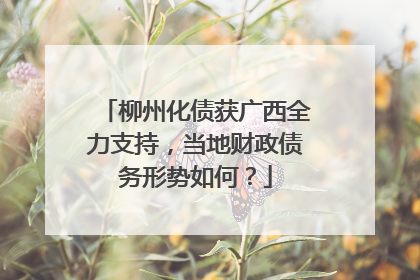 柳州化债获广西全力支持，当地财政债务形势如何？
