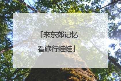 来东郊记忆 看旅行蛙蛙