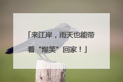 来江岸，雨天也能带着“爆笑”回家！