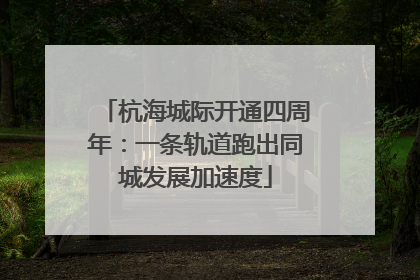 杭海城际开通四周年：一条轨道跑出同城发展加速度