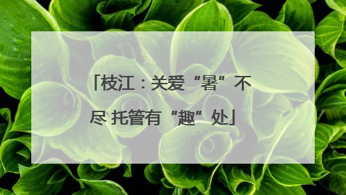 枝江：关爱“暑”不尽 托管有“趣”处