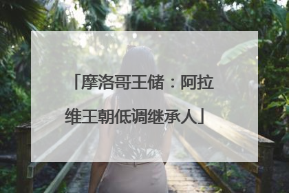 摩洛哥王储：阿拉维王朝低调继承人